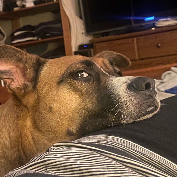 Giddy-Up!!! - Picture 8 of 16